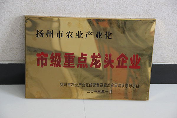 ������ũҵ��ҵ���м��ص���ͷ��ҵ