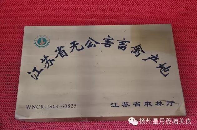 ����ʡ�޹������ݲ���